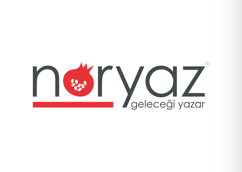 naryaz logo